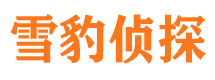 分宜市婚姻出轨调查